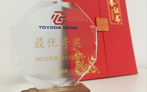 TOYODA GOSEI CHINA